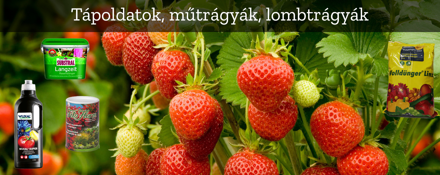 Lelkeskertes Webáruház