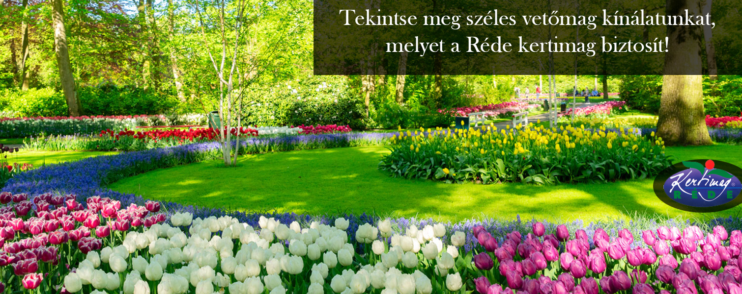 Lelkeskertes Webáruház