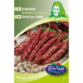 Karósbab Tarka Borlotto Lingua di Fuoco 2