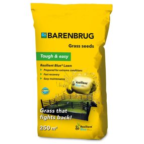   Barenbrug Tough & Easy - Resilient Blue Lawn Ellenálló 5 kg