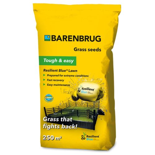 Barenbrug Tough & Easy - Resilient Blue Lawn Ellenálló 5 kg