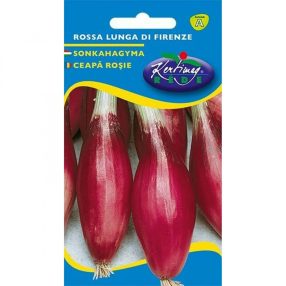Sonkahagyma Lila