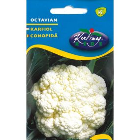 Karfiol Octavian