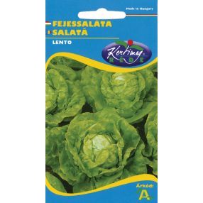 Saláta Lento