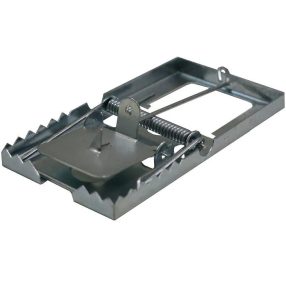 Egérfogó, Patkányfogó